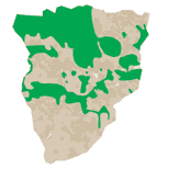 Distribution through southern Africa.